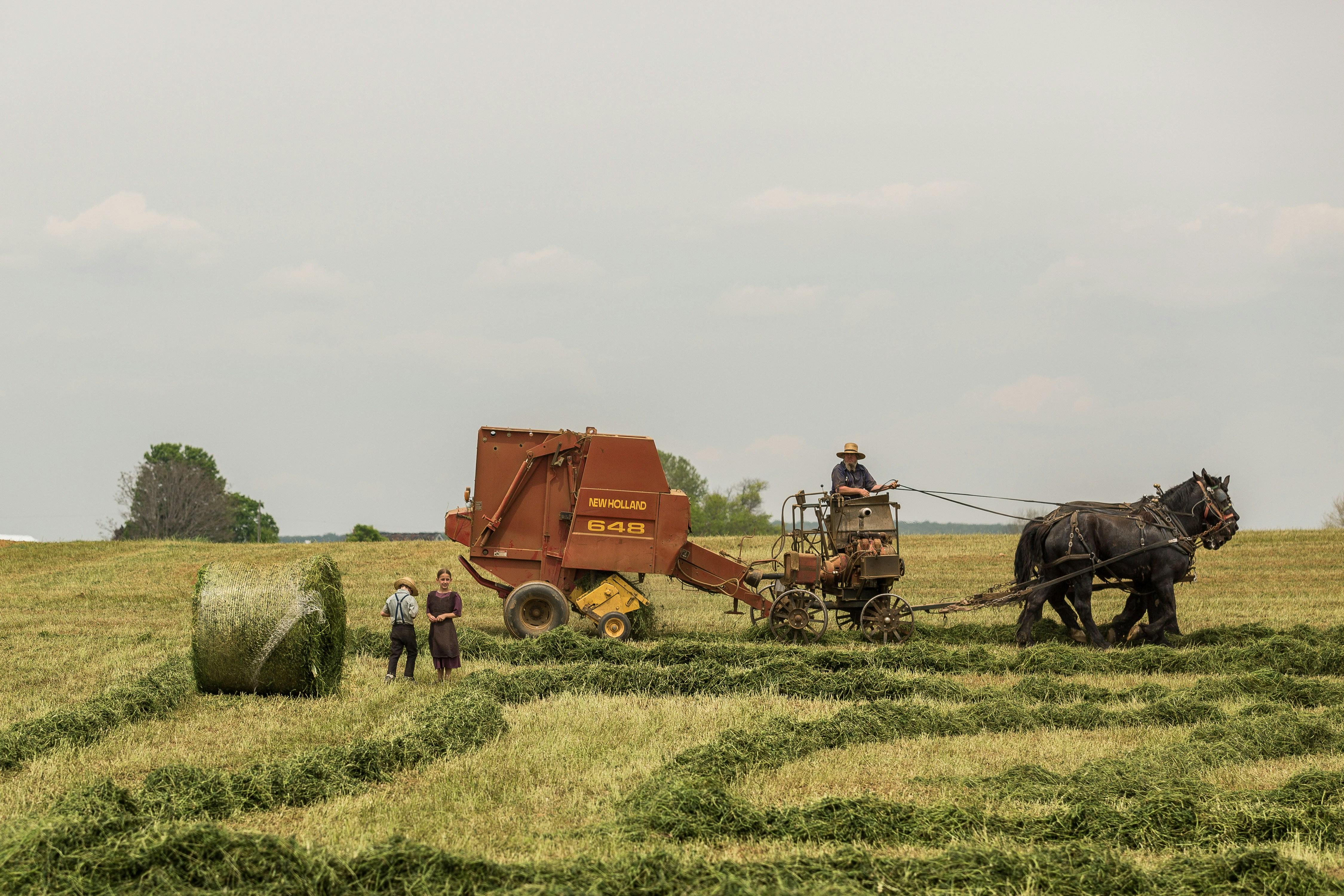 Farmer driving a horse-drawn round baler through a hay field while two children stand beside a fresh bale