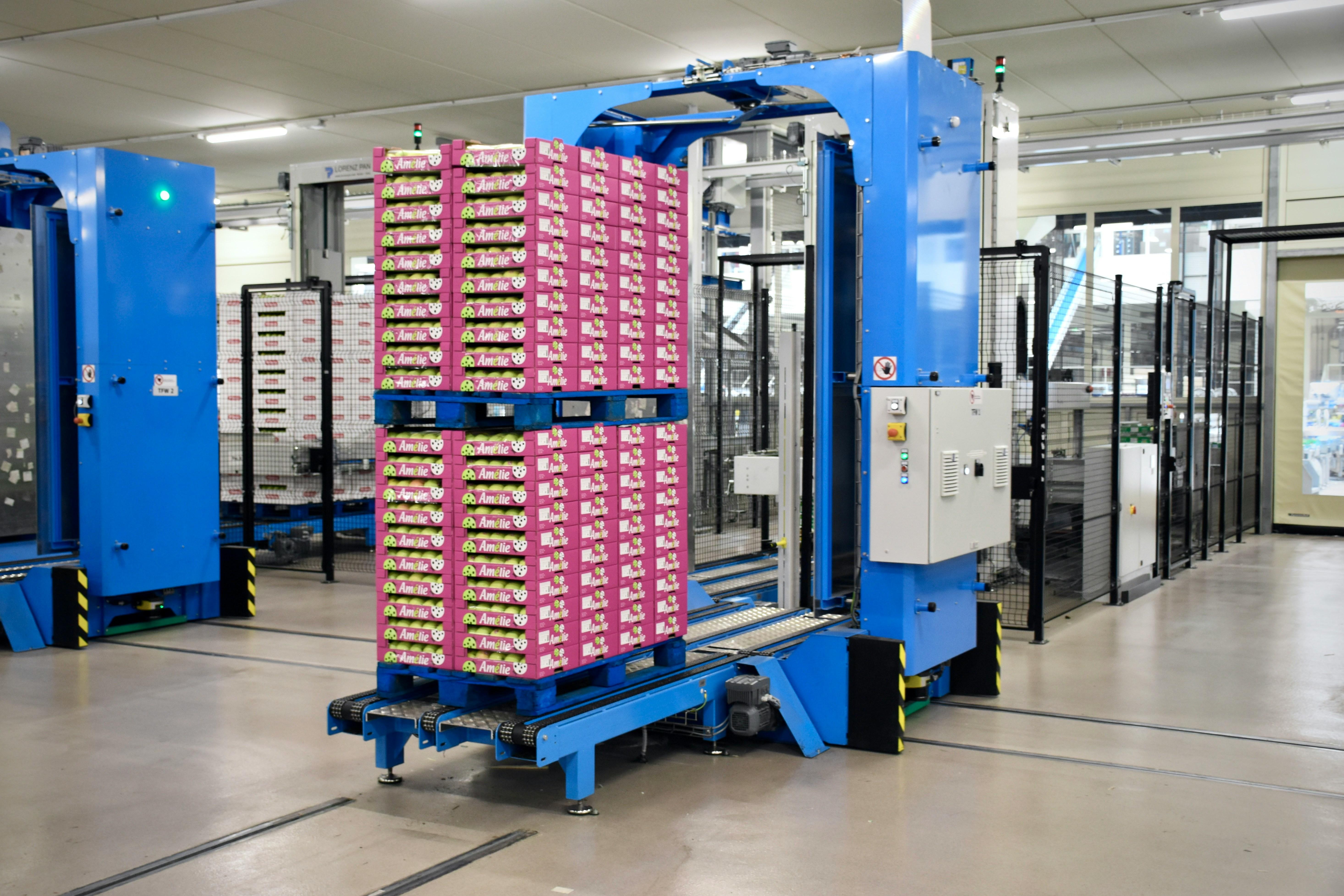 Automated palletising machine stacking crates of fruit onto pallets in a packing warehouse